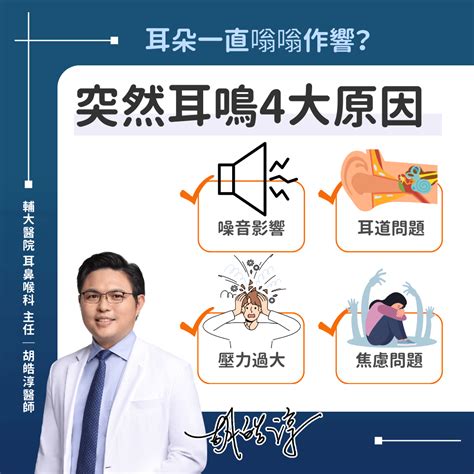 耳鳴會怎樣|耳鳴怎麼辦？耳鼻喉科醫師解析原因、治療、解決方法